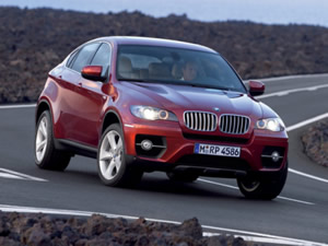    BMW X6 ( 6)